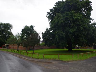 Picture 12
